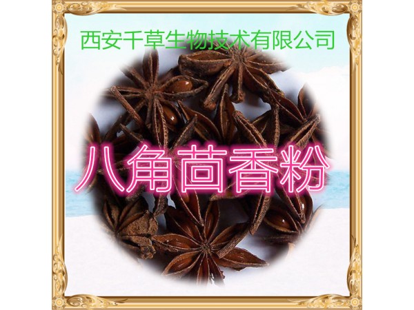 八角茴香提取物 全水溶 藥食同源 西安千草現貨