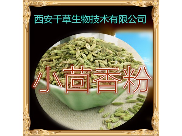 山藥提取物 全水溶 藥食同源 西安千草現(xiàn)貨