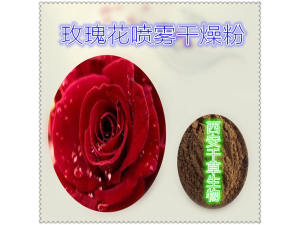 玫瑰花提取物 全水溶 藥食同源 西安千草現(xiàn)貨