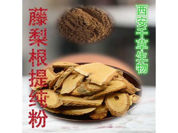 白花蛇舌草浸膏粉 藥食同源 西安千草現(xiàn)貨
