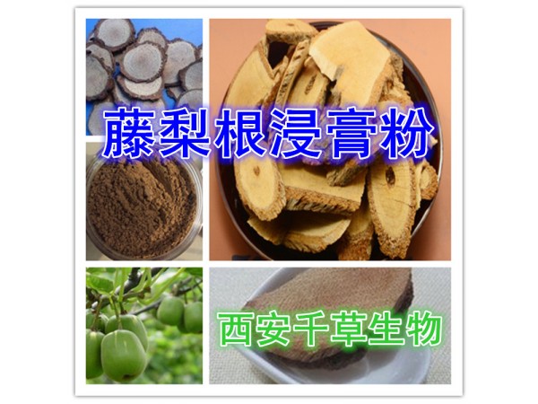 小茴香粉 全水溶 藥食同源 西安千草現(xiàn)貨