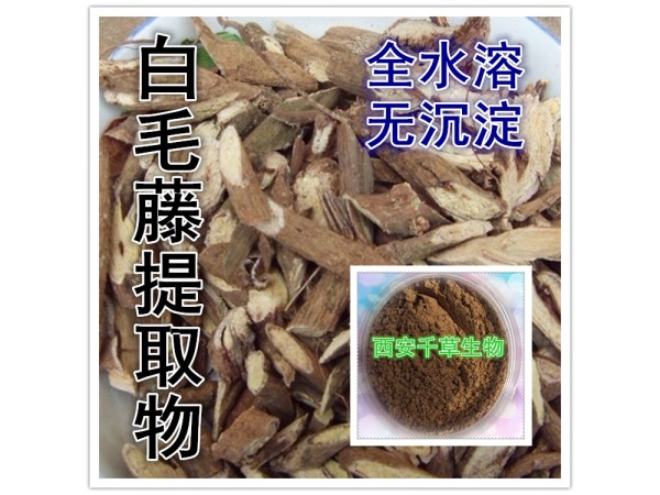 香薷濃縮粉 全水溶 藥食同源 西安千草現(xiàn)貨