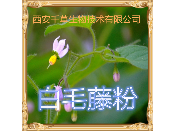 白毛藤提取物 全水溶 藥食同源 西安千草現(xiàn)貨