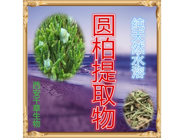 核桃仁濃縮粉 全水溶 藥食同源 西安千草現(xiàn)貨