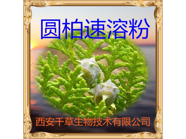 白扁豆?jié)饪s粉 全水溶 藥食同源 西安千草現(xiàn)貨