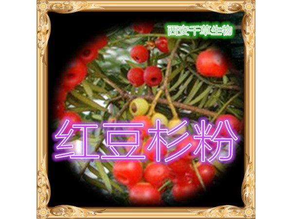 荷葉濃縮粉 全水溶 藥食同源 西安千草現(xiàn)貨