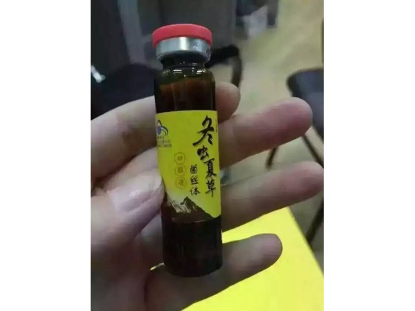 敖正大光榮冬蟲夏草口服液