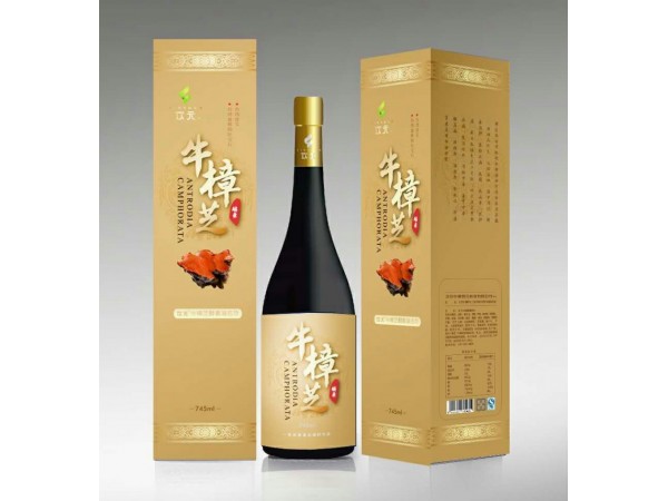飲元水果酵素飲料