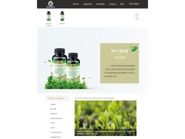 天然綠茶精華【美國(guó)進(jìn)口】