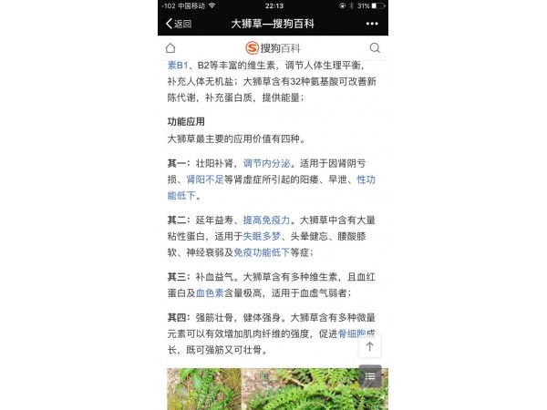 純植物偉哥