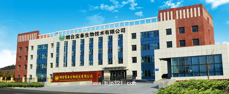 辦公樓