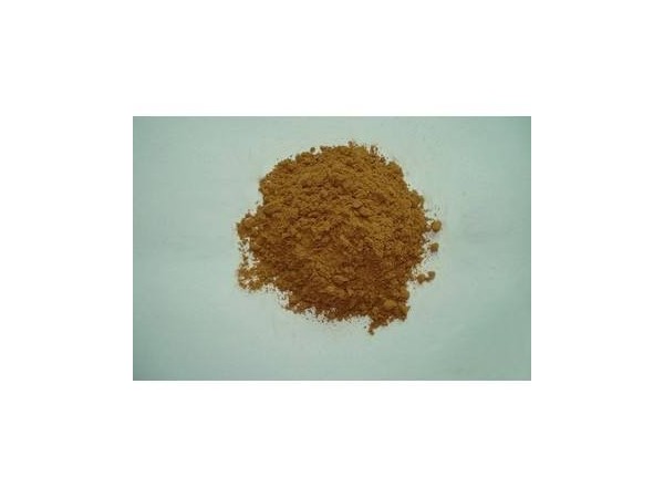 靈芝菌絲粉批發(fā)|靈芝茶|小藍(lán)帽