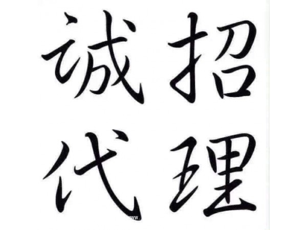安徽炬英2017新款上市十二道貼急招代理