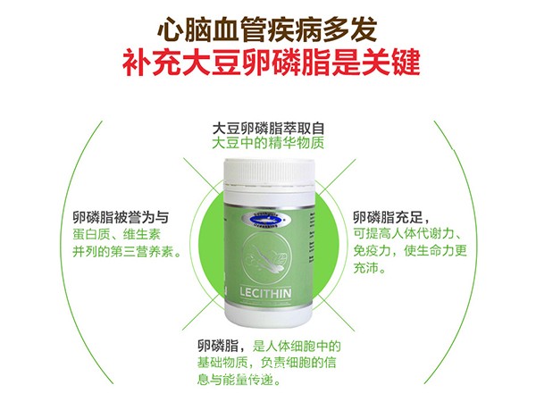 卵磷脂