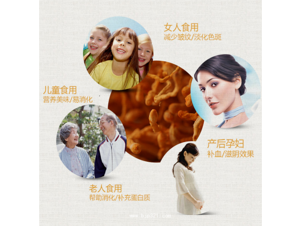 貞康牡丹蟲草茶 1克/袋*24袋*2盒 調(diào)節(jié)免疫