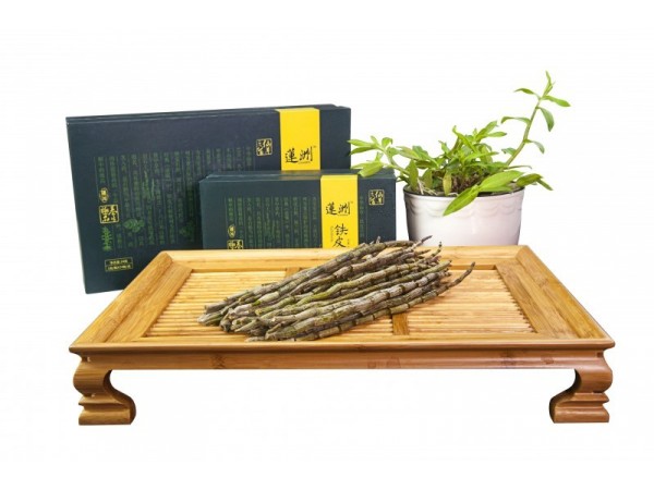 蓮洲鐵皮石斛-鮮條批發(fā) 招商