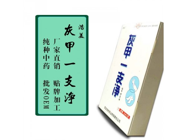 浩美——灰甲一支凈