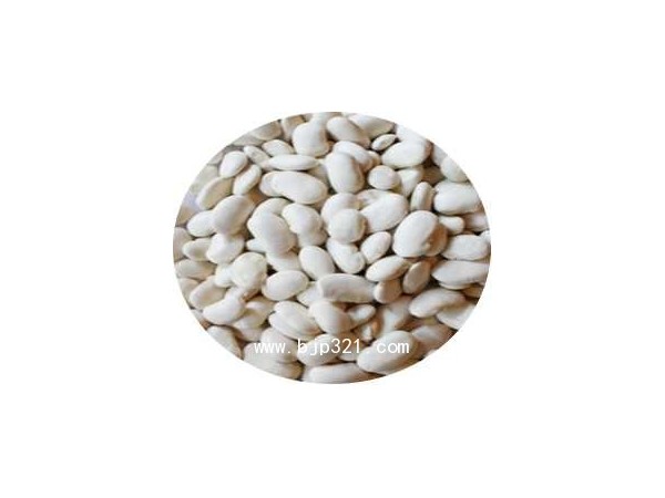 新絲儷-白蕓豆左旋肉堿粉