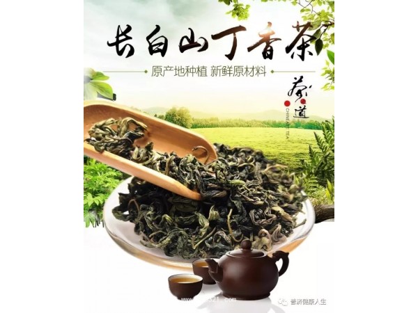 寧醫(yī)生丁香茶