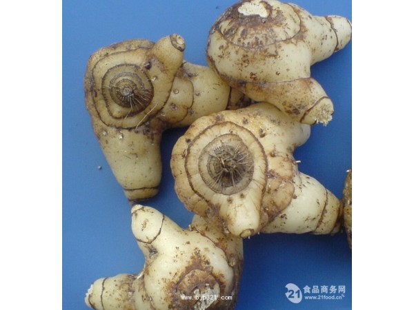 長(zhǎng)期供應(yīng)卡瓦提取物