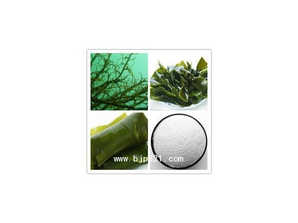 長(zhǎng)期供應(yīng)海帶提取物