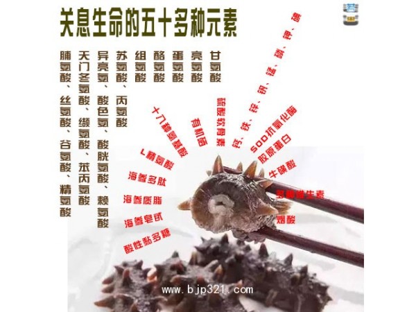若童海參漿 全面營(yíng)養(yǎng)滋補(bǔ)