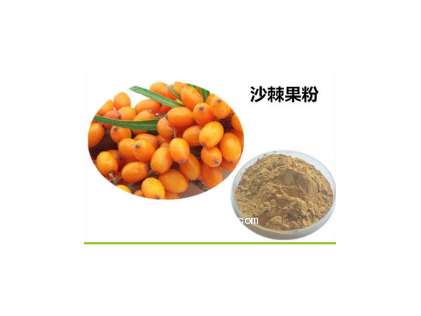 沙棘果粉