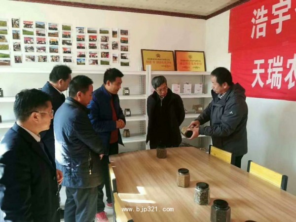 納豆激酶源頭廠家