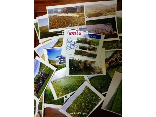 苦參提取物苦參堿