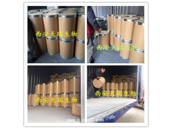 西洋參提取物西洋參皂甙