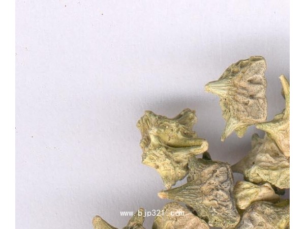 西安天本刺蒺藜提取物