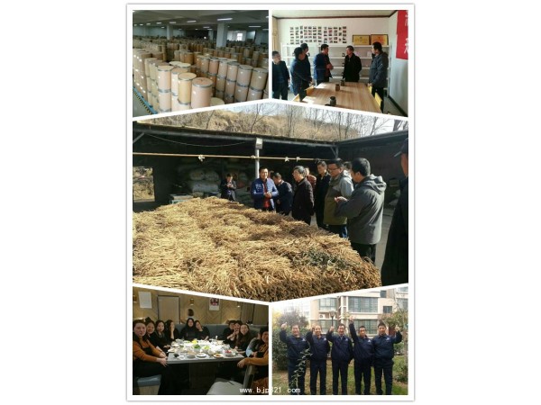 黃芪多糖綠色飼料添加劑