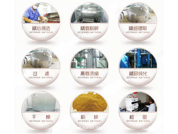 無患子皂甙無患子提取物