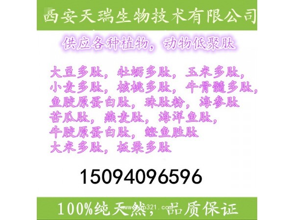 膠原蛋白肽小分子活性肽