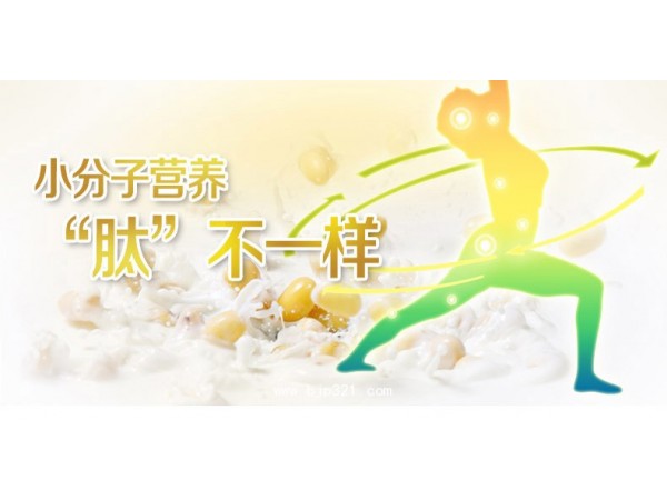 大豆低聚肽