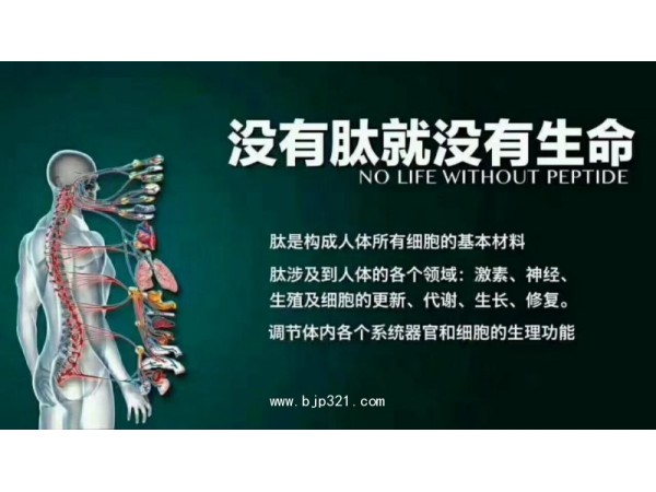 小麥低聚肽水解蛋白小麥小分子肽