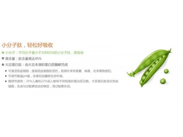 大豆低聚肽大豆肽粉