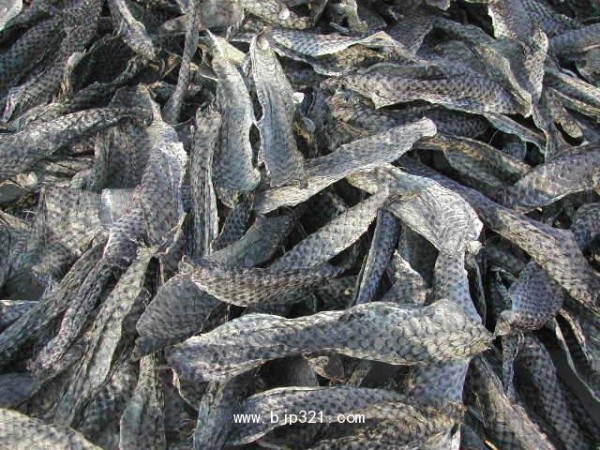 魚膠原蛋白肽粉小分子肽天瑞生物