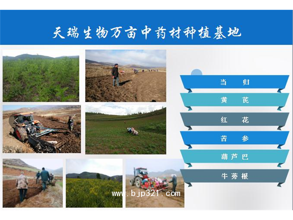 阿膠提取物質(zhì)量贏得口碑