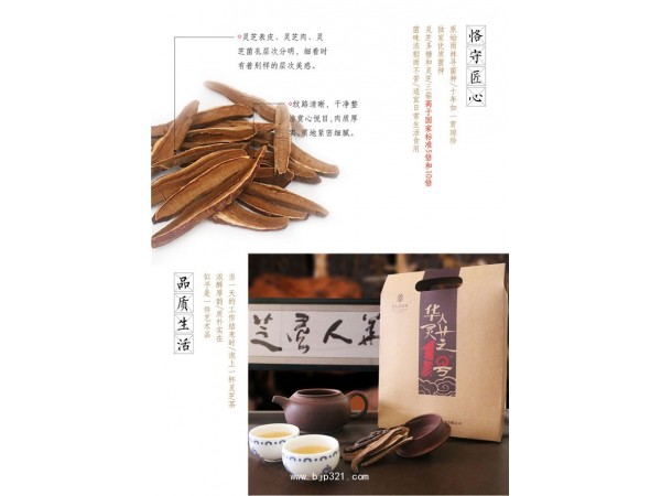 華人靈芝1號飲片