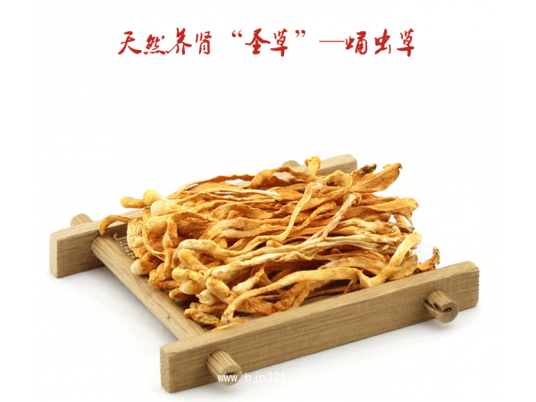 潤澤神農(nóng)圣元茶 養(yǎng)腎、護腎袋泡茶 承接OEM加工