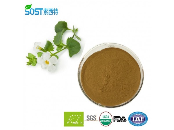 假馬齒筧提取物  西安索西特生物 假馬齒筧皂甙