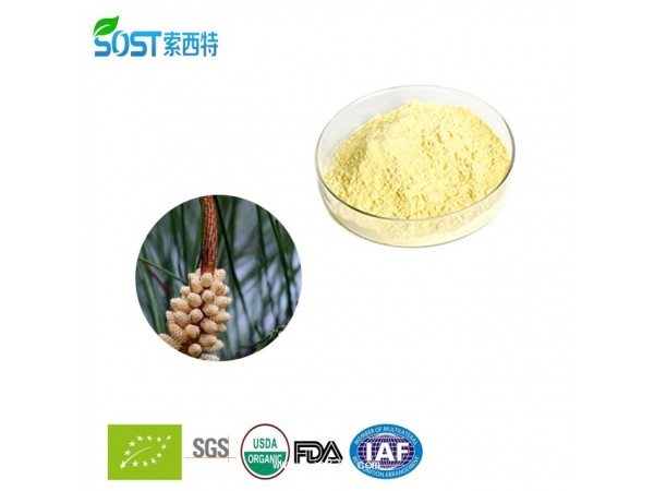 松花粉 西安索西特生物 破壁松花粉 現(xiàn)貨供應(yīng)