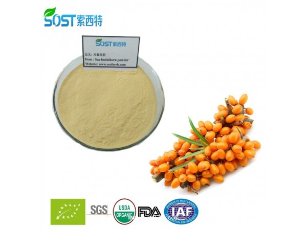 沙棘粉 西安索西特生物 沙棘提取物 現(xiàn)貨供應(yīng)