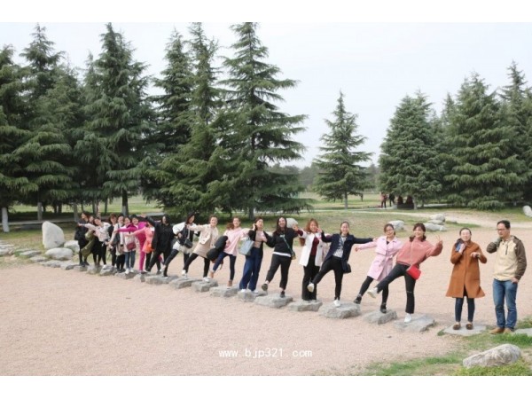 側(cè)柏葉提取物源頭廠家