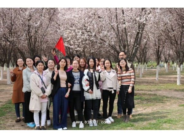 川楝子提取物源頭廠家