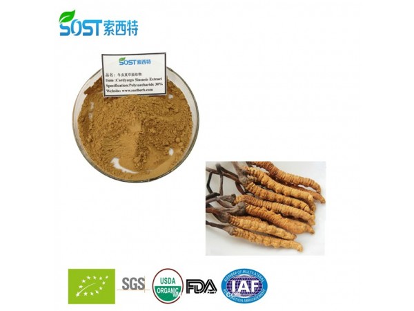 蟲草提取物 西安索西特生物 蟲草多糖 現(xiàn)貨供應(yīng)
