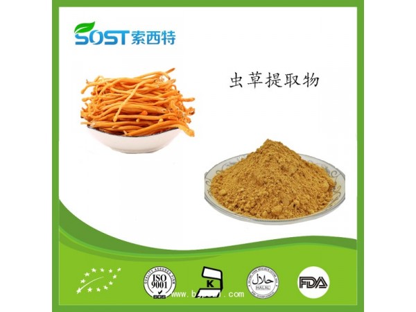 蟲草提取物 西安索西特生物 蟲草多糖 現(xiàn)貨供應