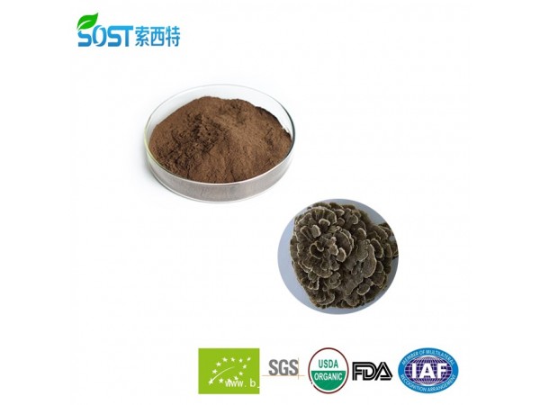 云芝提取物 西安索西特生物 云芝多糖 現(xiàn)貨供應(yīng)