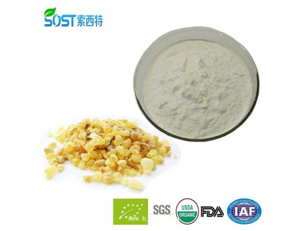 乳香提取物 西安索西特生物 乳香酸 現(xiàn)貨供應(yīng)